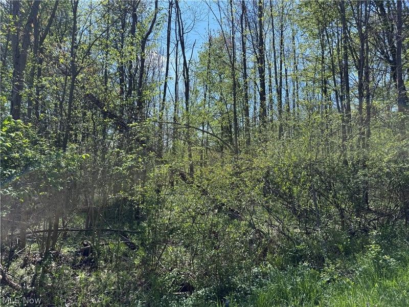 11664 Chestnutdale Road, Chardon, OH 44024 Photo 6