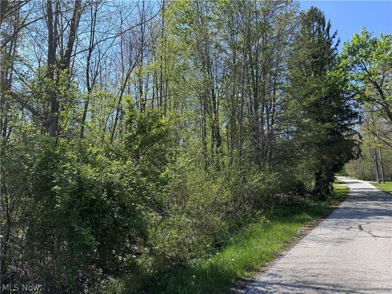 11664 Chestnutdale Road, Chardon, OH 44024 Photo 7