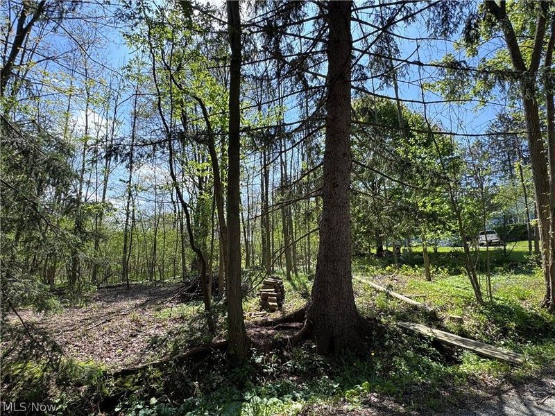 11664 Chestnutdale Road, Chardon, OH 44024 Photo 8
