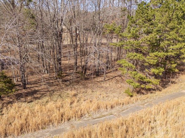 0 Treadwell Prong Rd , Linden, TN 37096