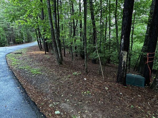 1.08 ACRES 00 Lazy River Lane, Ellijay, GA 30540