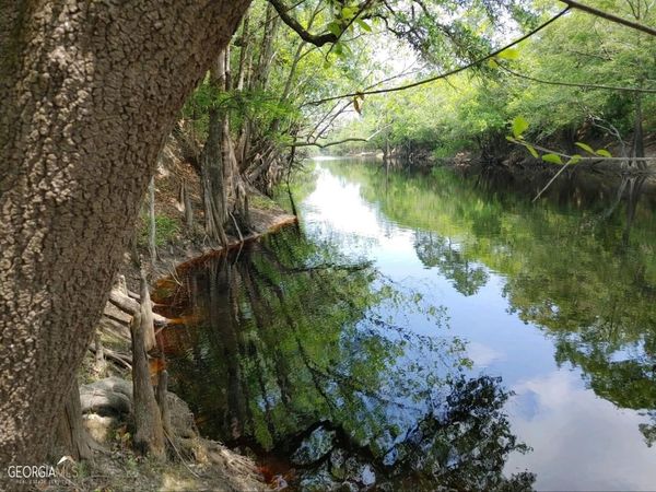 LOT 1 Baker Blvd/cr 4, St. George, GA 31562