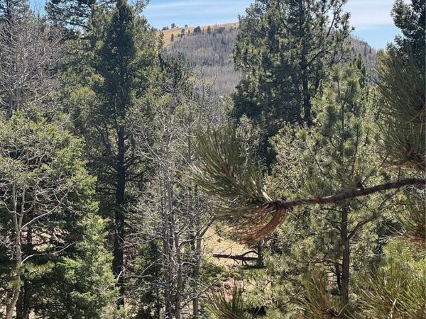 288 Troy Drive, Cripple Creek, CO 80813