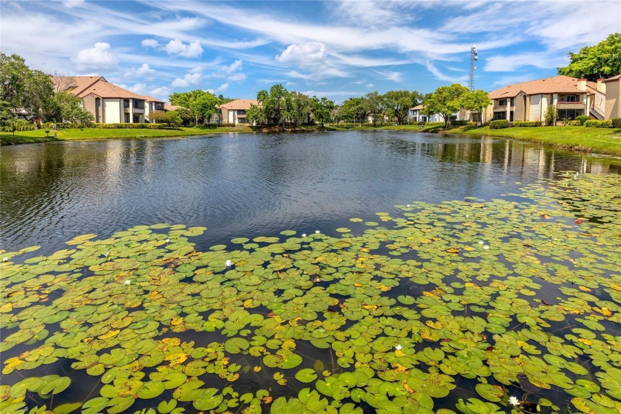 10265 Gandy Boulevard N, Unit 1002, Saint Petersburg, FL 33702 Photo