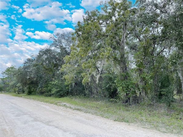 14250 SE 2ND STREET , WILLISTON, FL 32696