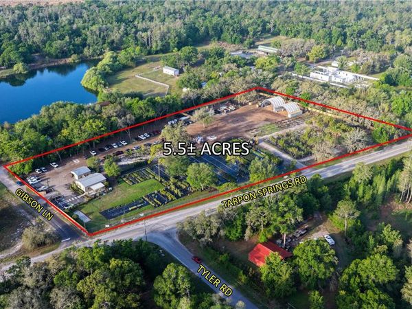 12980 TARPON SPRINGS ROAD , ODESSA, FL 33556