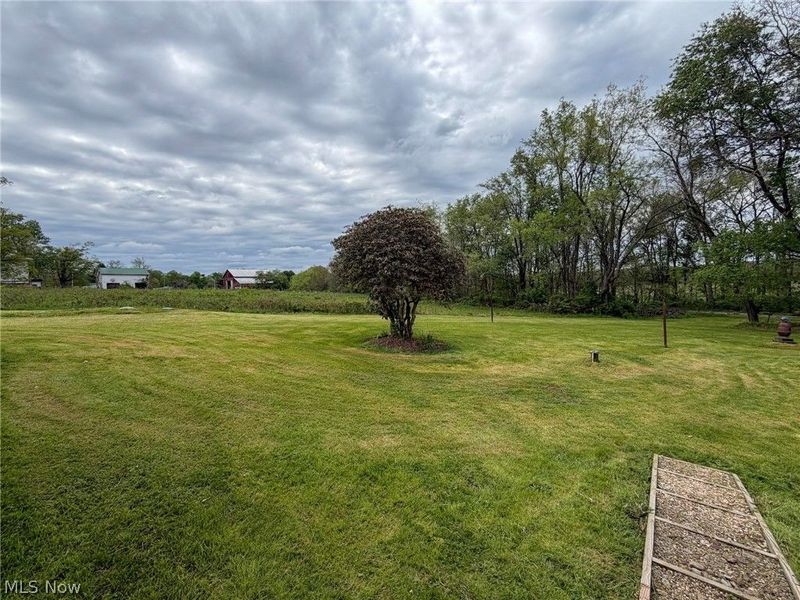 8135 State Route 609, Burghill, OH 44404 Photo 39