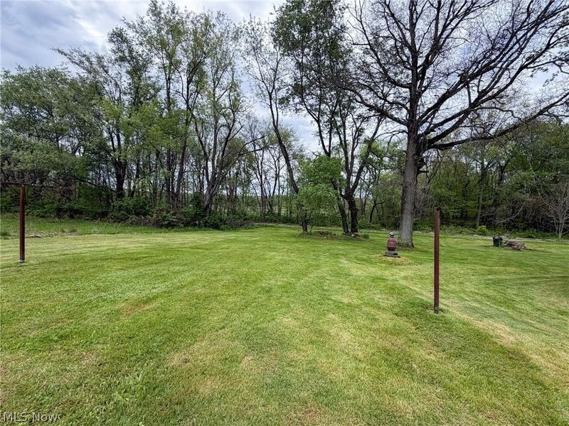 8135 State Route 609, Burghill, OH 44404 Photo 41