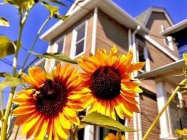 60 Hilton Ave Unit 3, Unit 3, Maplewood, NJ 07040