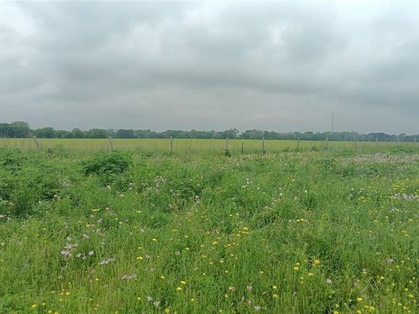 TBD CR494N , Chilton, TX 76632