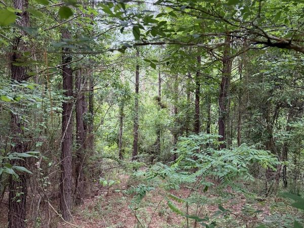 Tbd Hall Road, Natchez, MS 39120