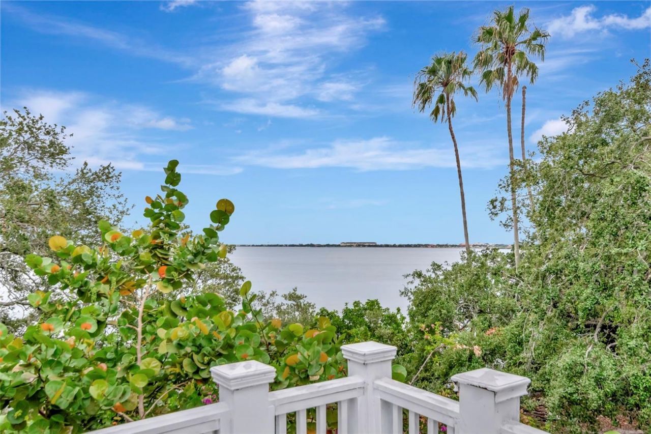 6220 Bayshore Boulevard, Tampa, FL 33611 Photo