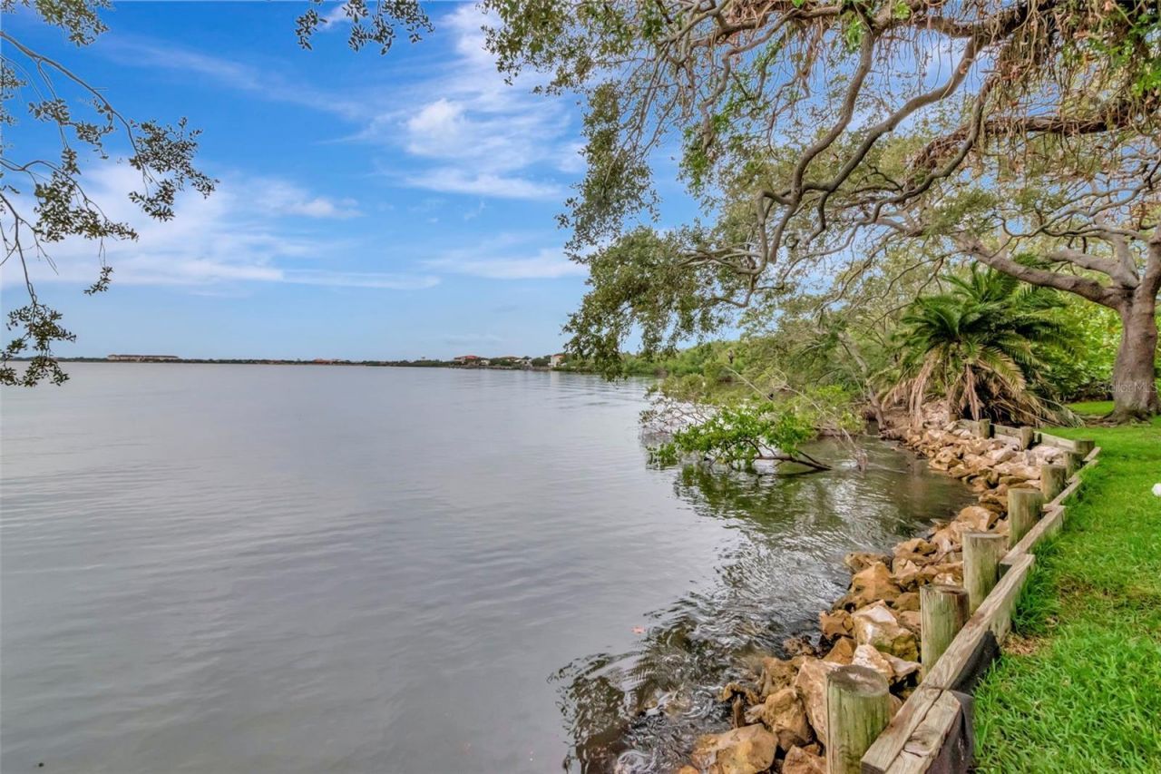 6220 Bayshore Boulevard, Tampa, FL 33611 Photo