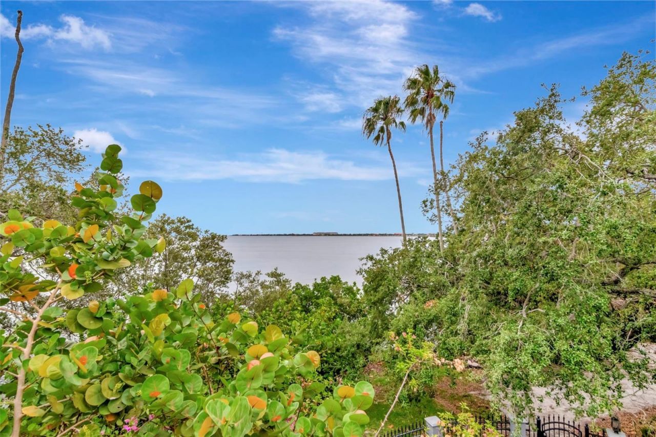6220 Bayshore Boulevard, Tampa, FL 33611 Photo