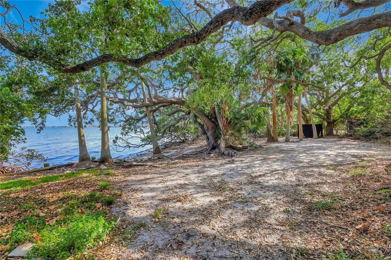 6220 Bayshore Boulevard, Tampa, FL 33611 Photo