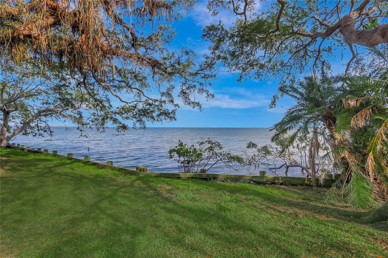 6220 Bayshore Boulevard, Tampa, FL 33611 Photo