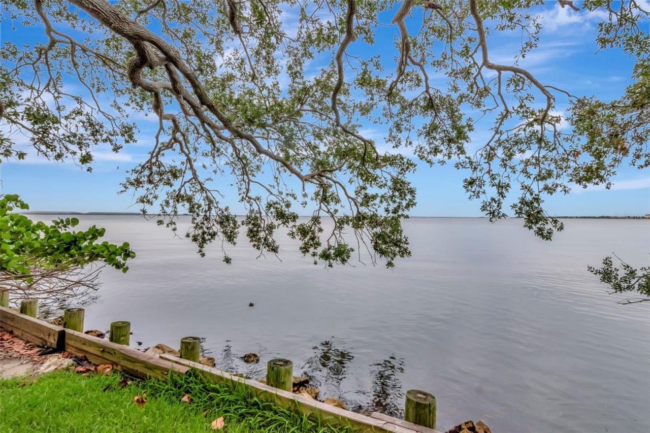 6220 Bayshore Boulevard, Tampa, FL 33611 Photo