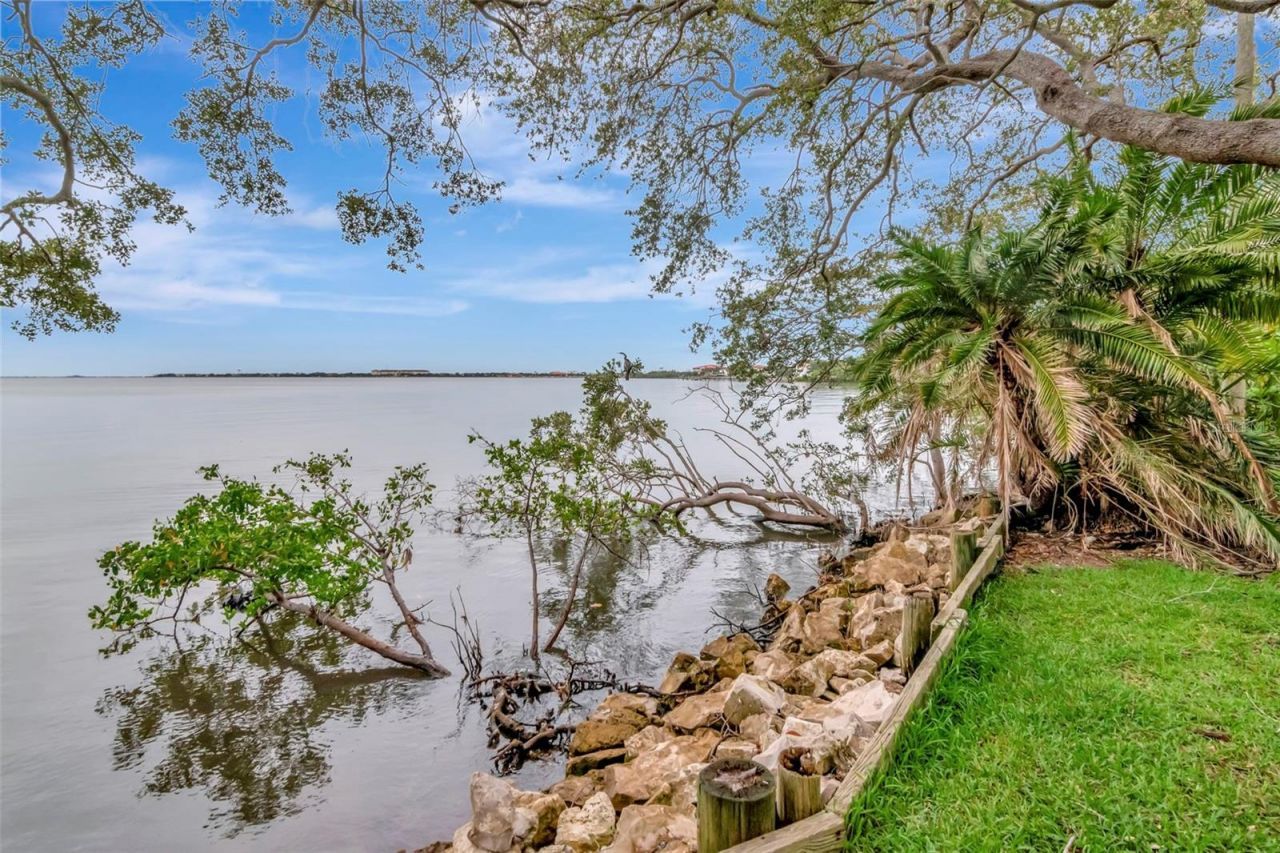 6220 Bayshore Boulevard, Tampa, FL 33611 Photo