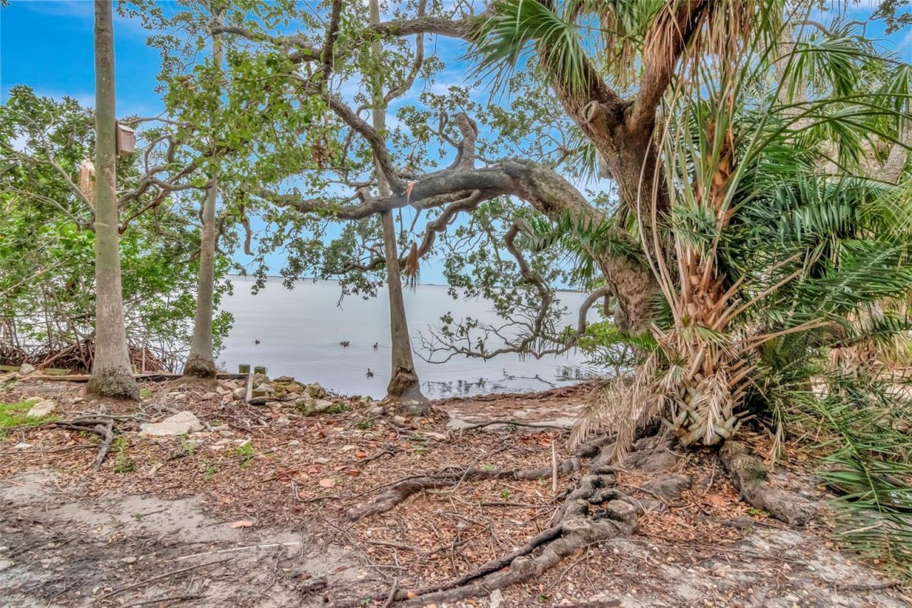 6220 Bayshore Boulevard, Tampa, FL 33611 Photo