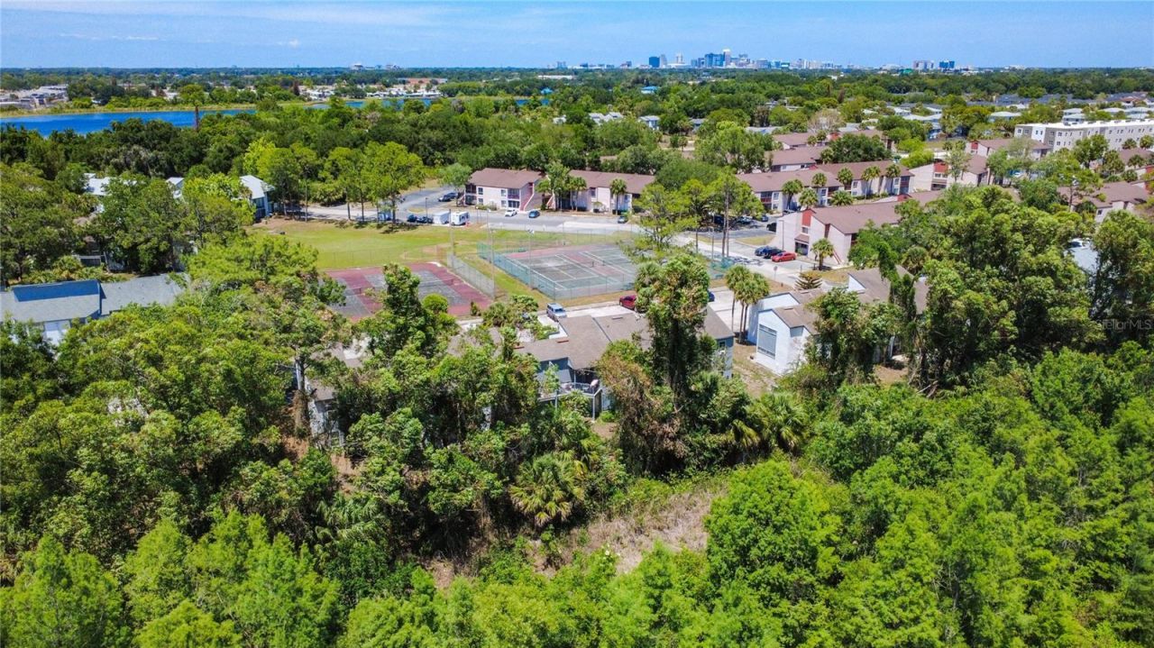 2636 Lemon Tree Lane, Orlando, FL 32839 Photo