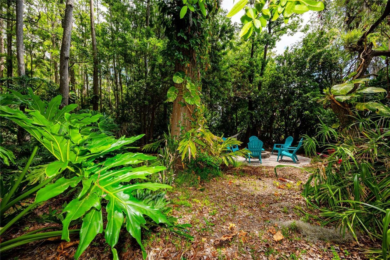 7801 Hamlet Drive , New Port Richey, FL 34653 Photo