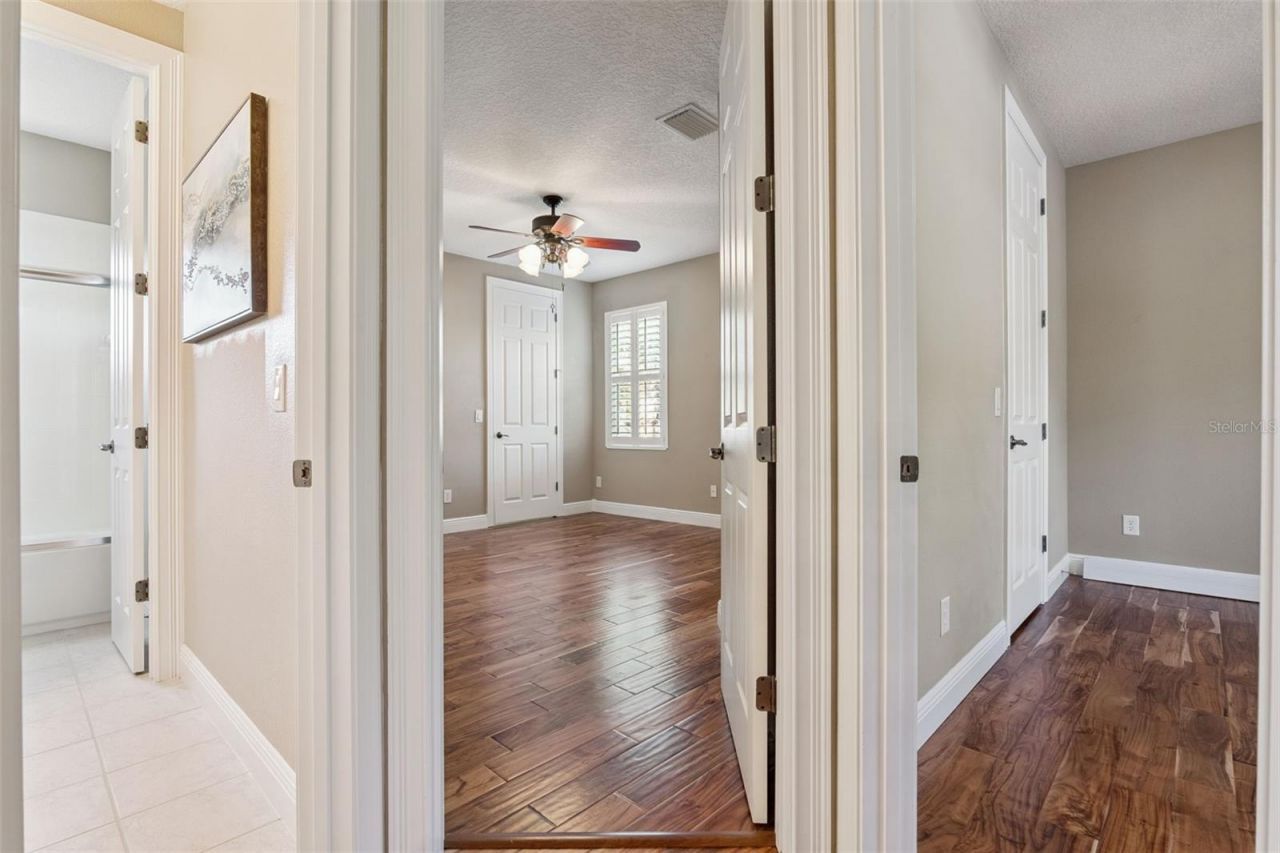 3197 Heirloom Rose Place, Oviedo, FL 32766 Photo