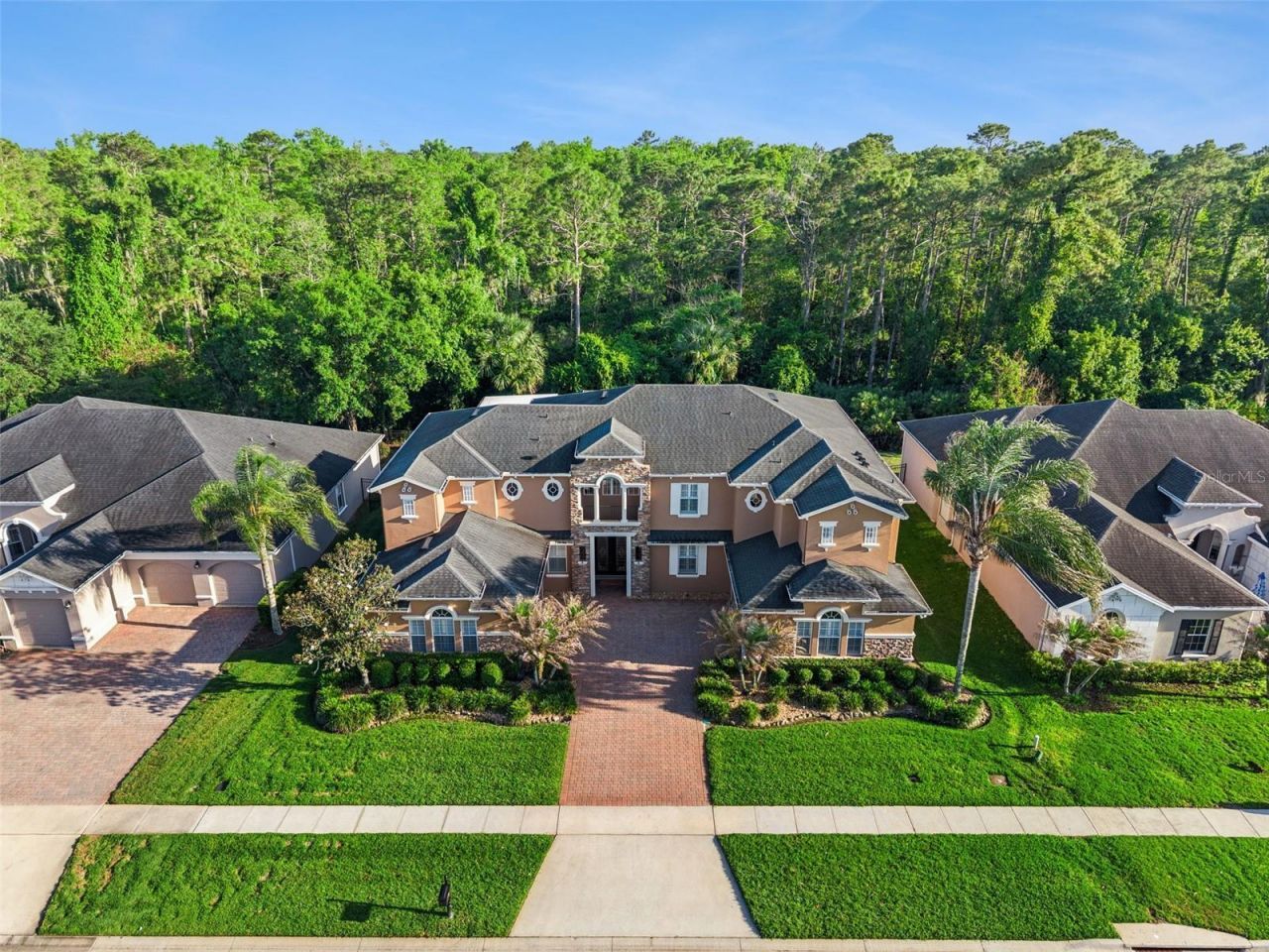 3197 Heirloom Rose Place, Oviedo, FL 32766 Photo