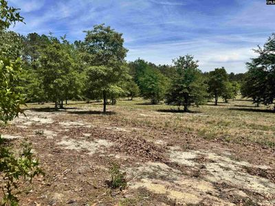 1345 Cheraw Rd , Cassatt, SC 29032