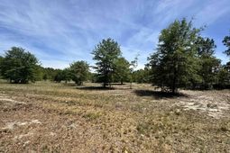 1345 Cheraw Rd  photo 4
