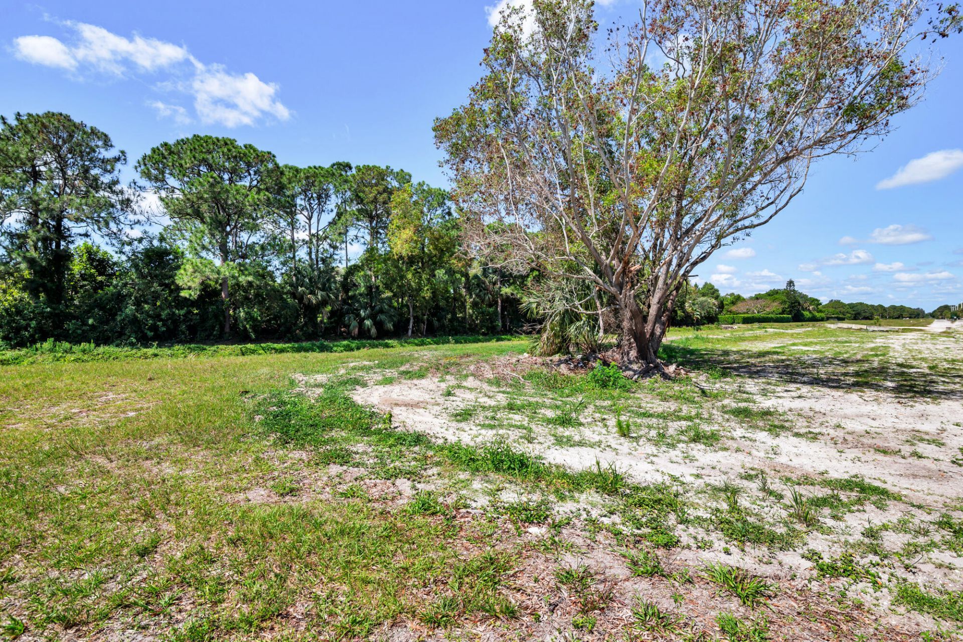 159th Court N, , FL 00000 Photo