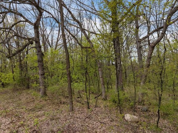 MOREY DRIVE, Waupaca, WI 54981