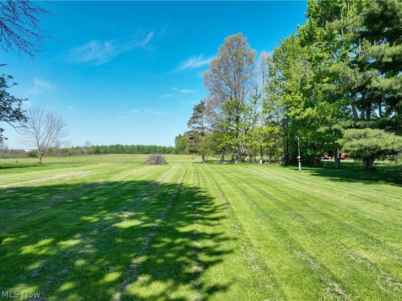 17342 Indian Hollow Road, Grafton, OH 44044 Photo 36