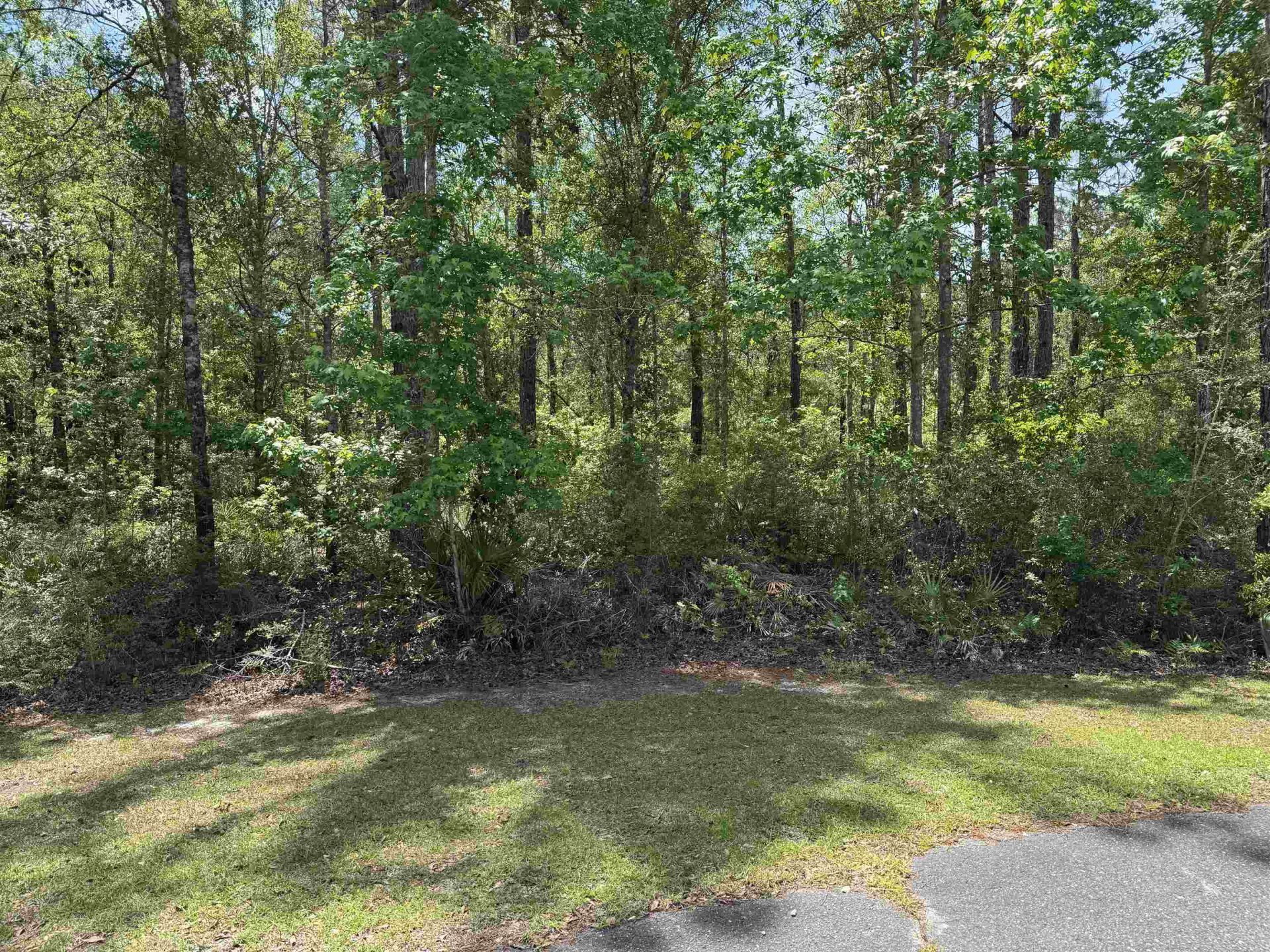 X Boulder Run, Saint Marks, FL 32355 Photo