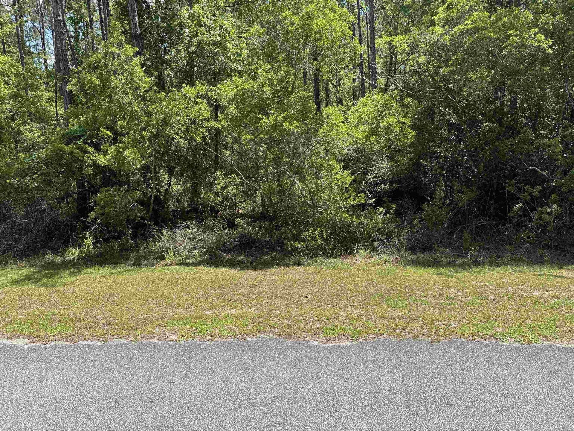 X Boulder Run, Saint Marks, FL 32355 Photo