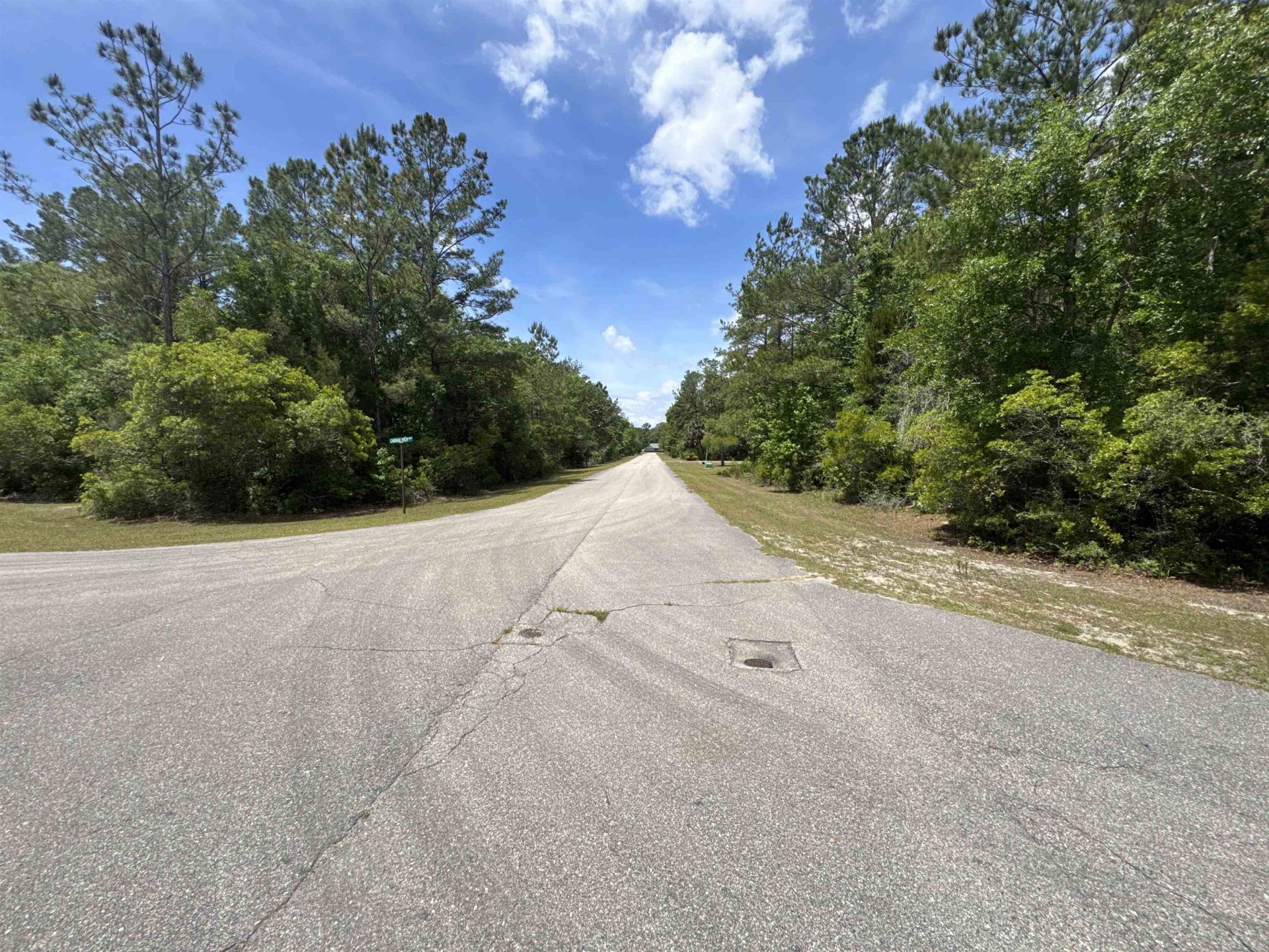 X Old Palmetto Path, Saint Marks, FL 32355 Photo