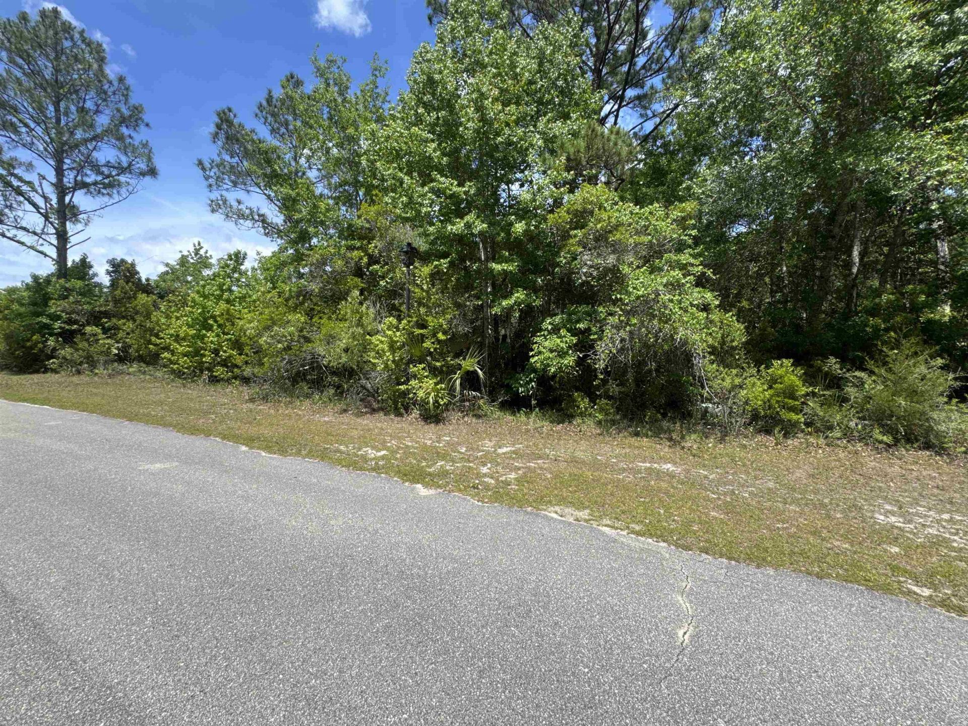 X Old Palmetto Path, Saint Marks, FL 32355 Photo