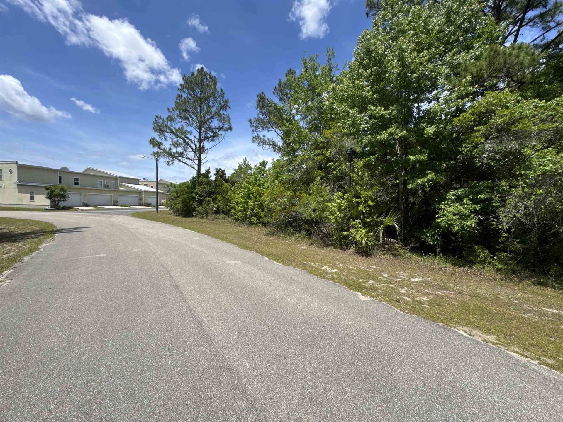 X Old Palmetto Path, Saint Marks, FL 32355 Photo