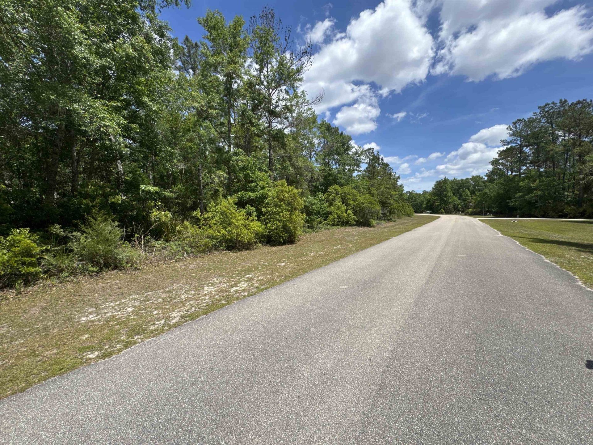 Xx Old Palmetto Path, Saint Marks, FL 32355 Photo