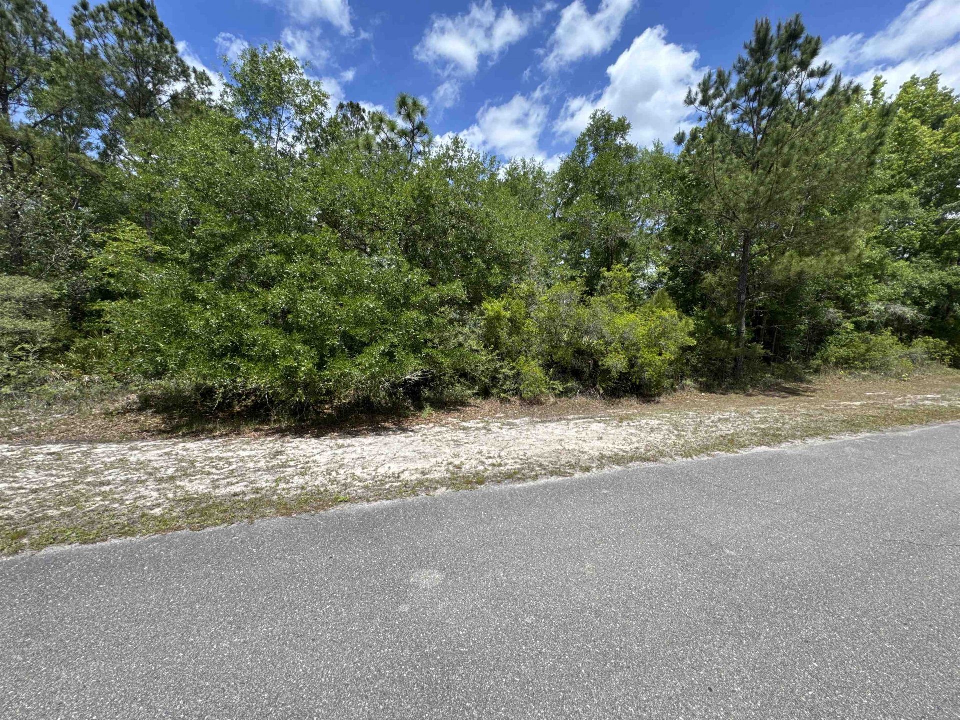 Xx Old Palmetto Path, Saint Marks, FL 32355 Photo