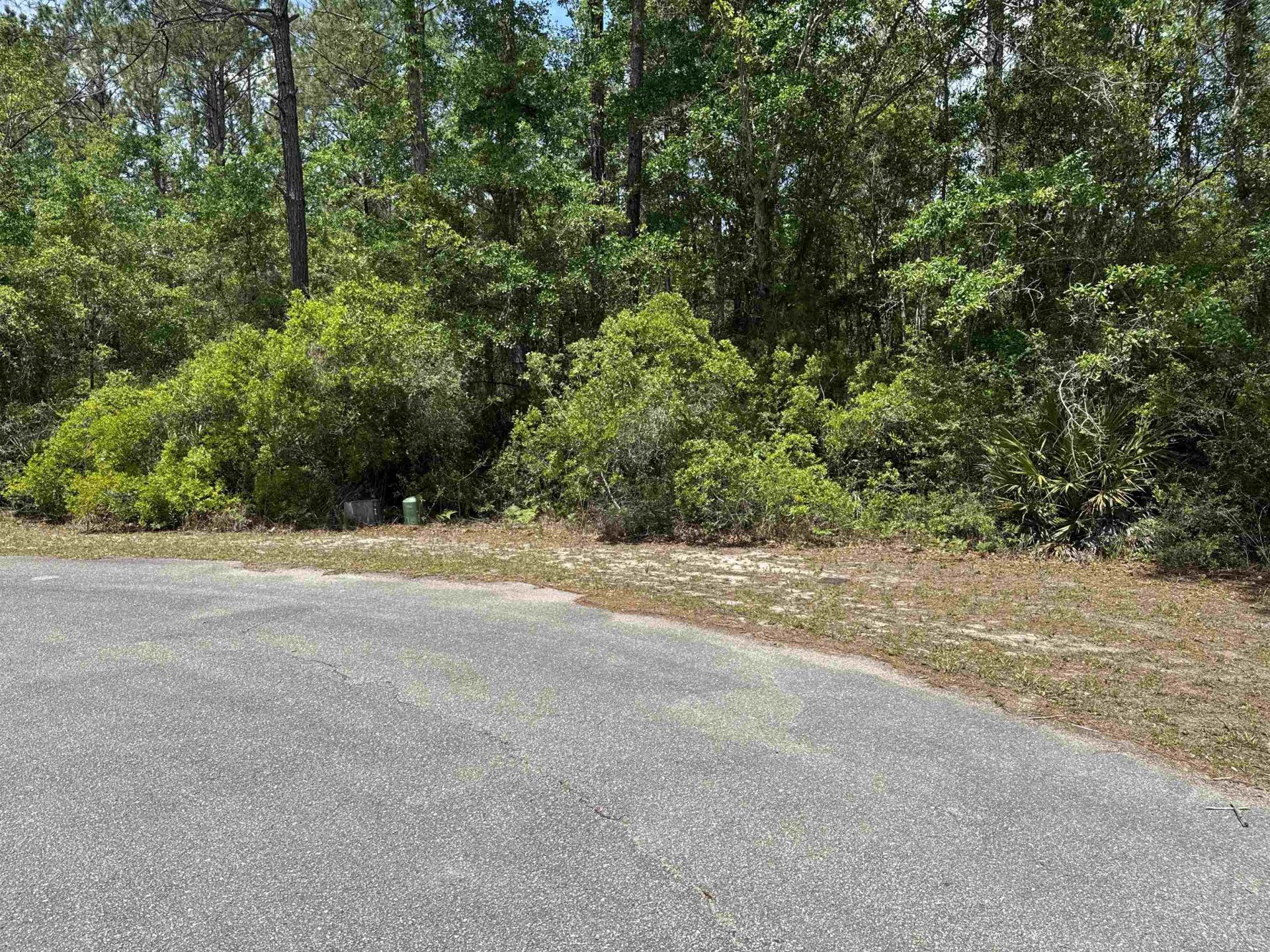 Xxx Boulder Run, Saint Marks, FL 32355 Photo