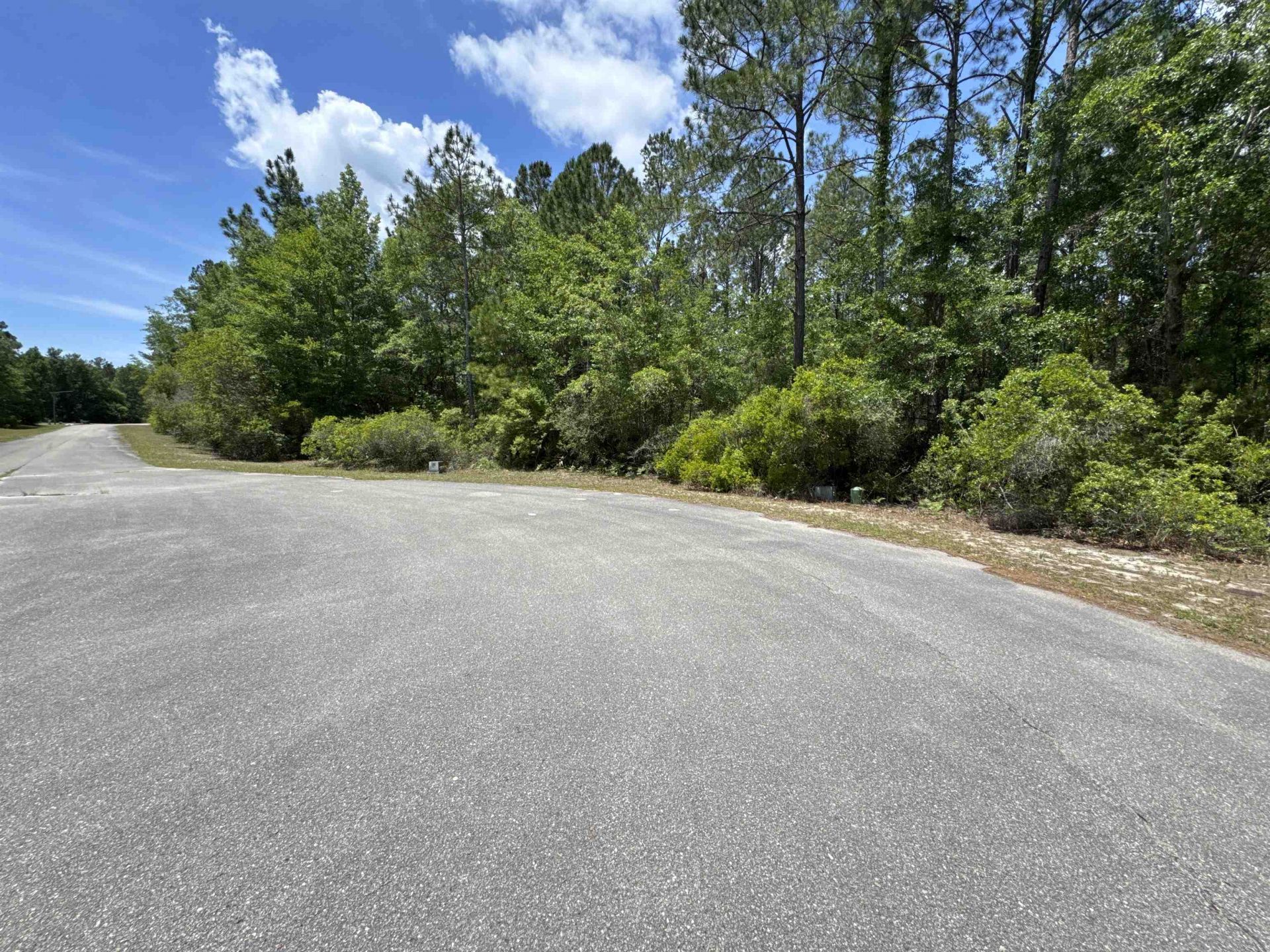 Xxx Boulder Run, Saint Marks, FL 32355 Photo