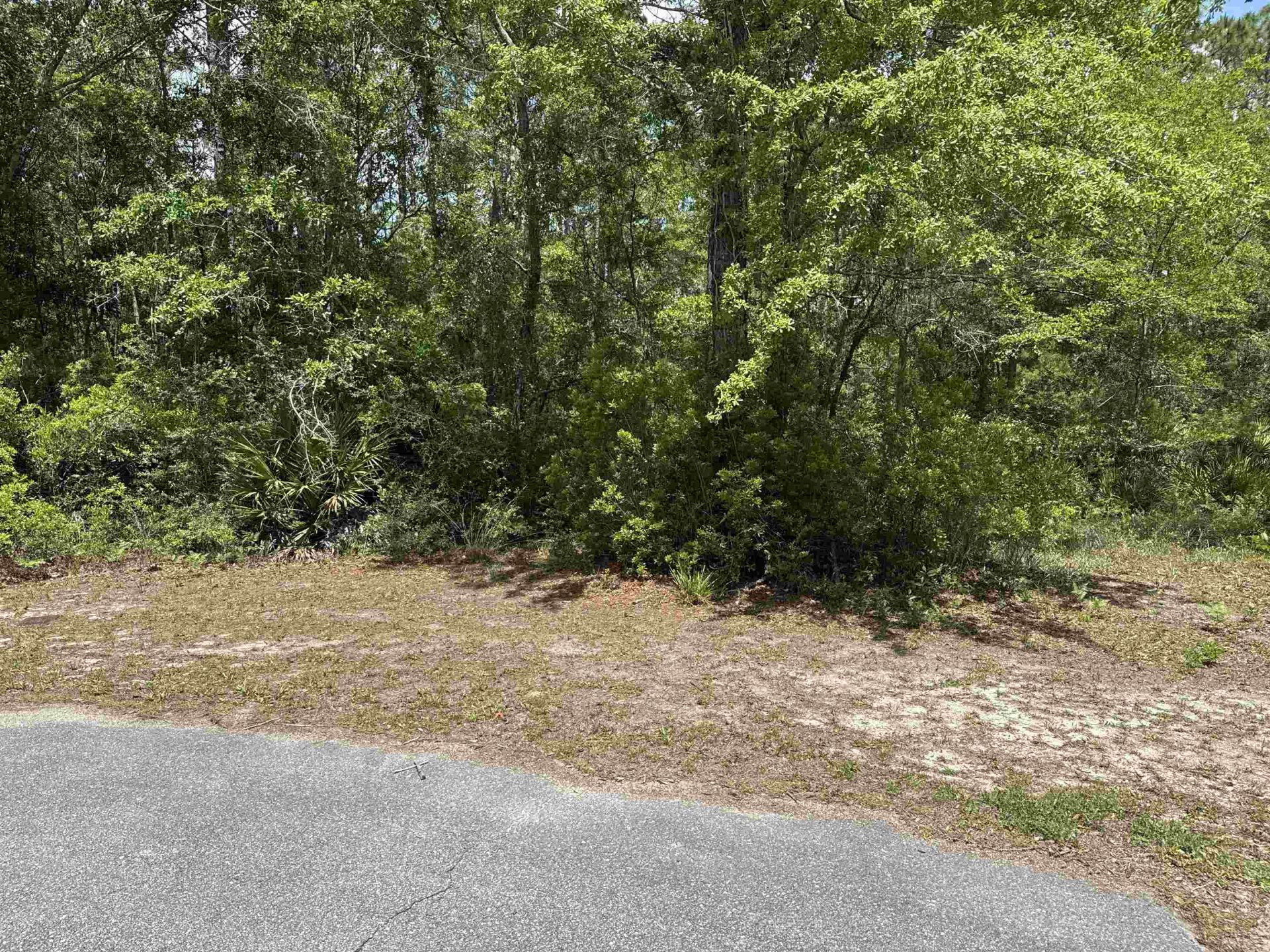 Xxx Boulder Run, Saint Marks, FL 32355 Photo