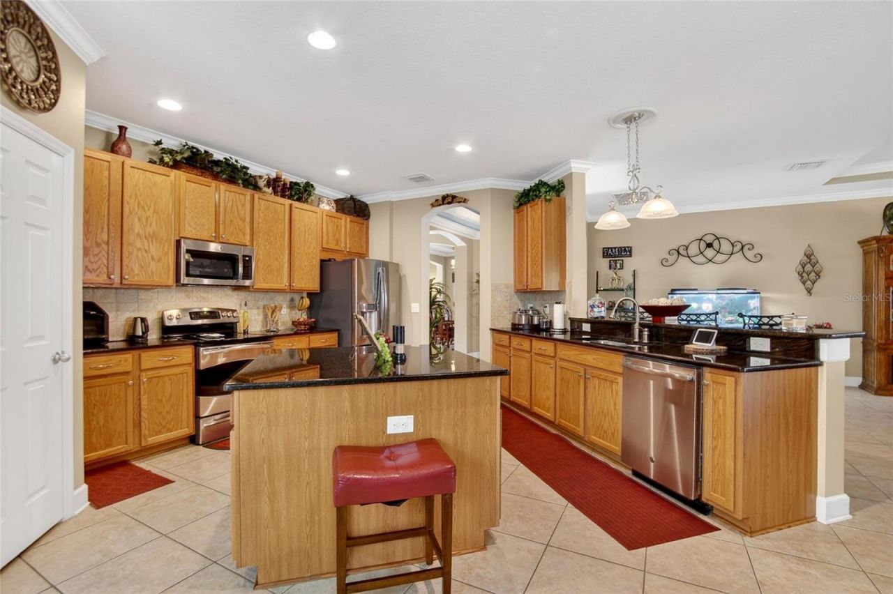 10232 Holland Road, Riverview, FL 33578 Photo