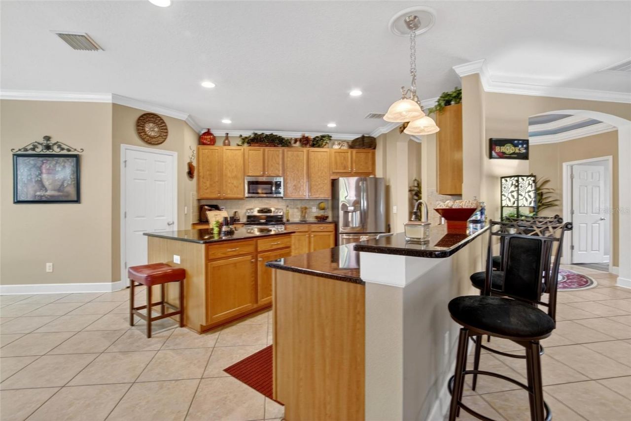 10232 Holland Road, Riverview, FL 33578 Photo