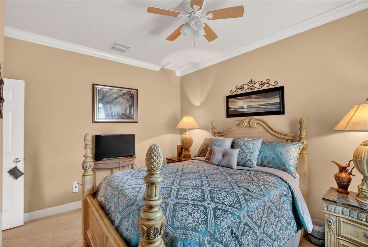 10232 Holland Road, Riverview, FL 33578 Photo