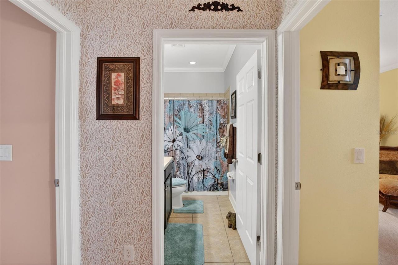 10232 Holland Road, Riverview, FL 33578 Photo
