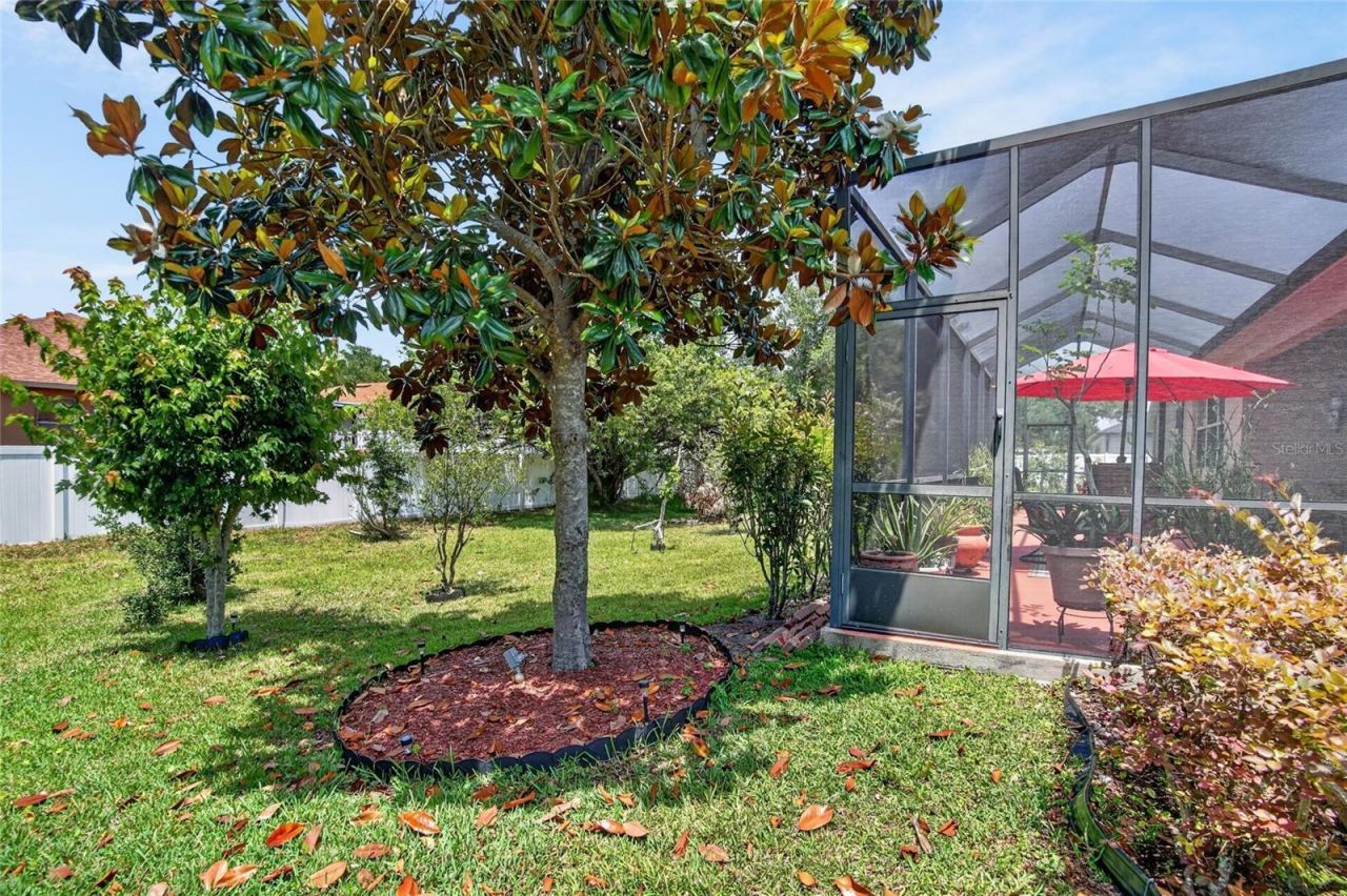 10232 Holland Road, Riverview, FL 33578 Photo