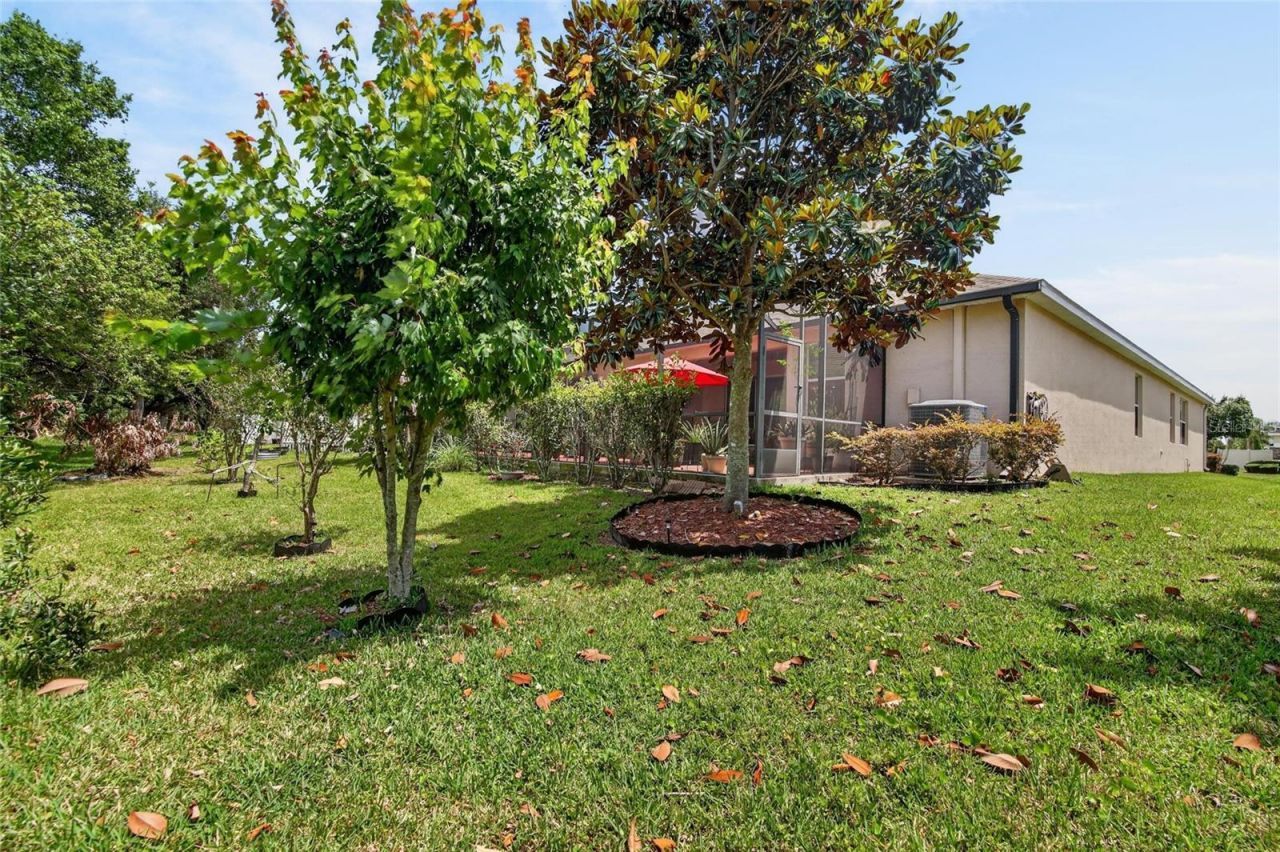 10232 Holland Road, Riverview, FL 33578 Photo