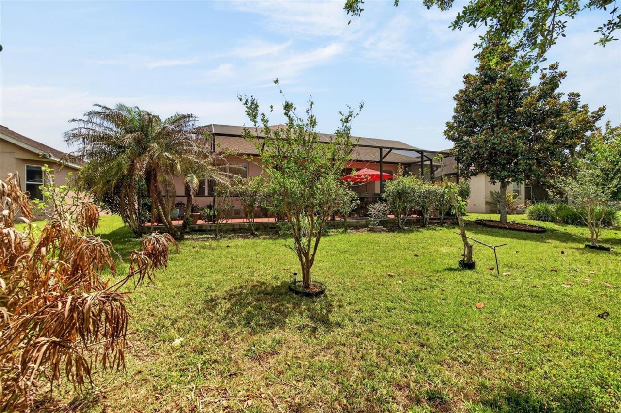 10232 Holland Road, Riverview, FL 33578 Photo