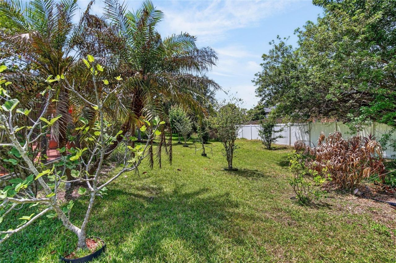 10232 Holland Road, Riverview, FL 33578 Photo
